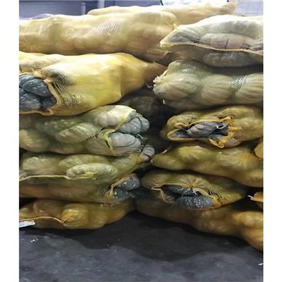 工厂食堂承包公司的配套产品推荐与装卸服务方案